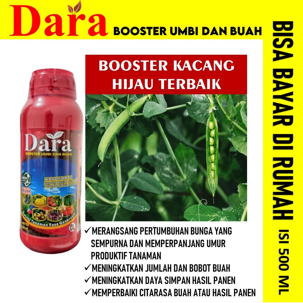 Jual TERLASRIS DARA 500 ML Pupuk Booster Buah Kacang Hijau Pupuk