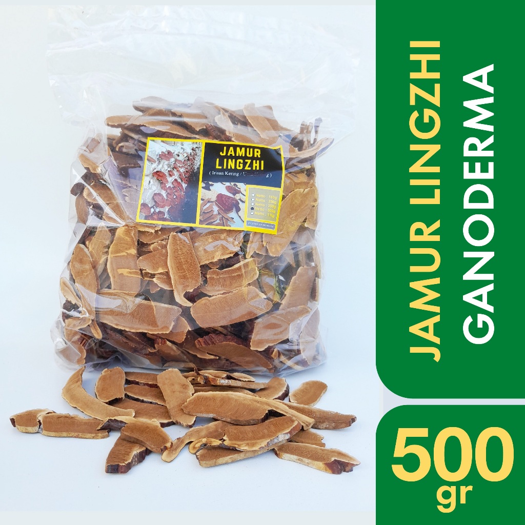 Jual Jamur Lingzhi Ling Zhi Ganoderma Lucidum Kering 500 gram Shopee