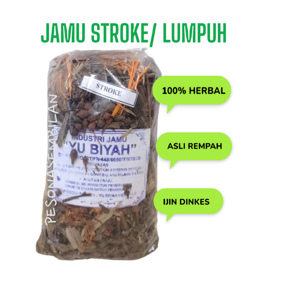 Jual Jamu Godok Stroke Ringan, Lumpuh Sebelah Kiri Kanan, Obat Herbal ...