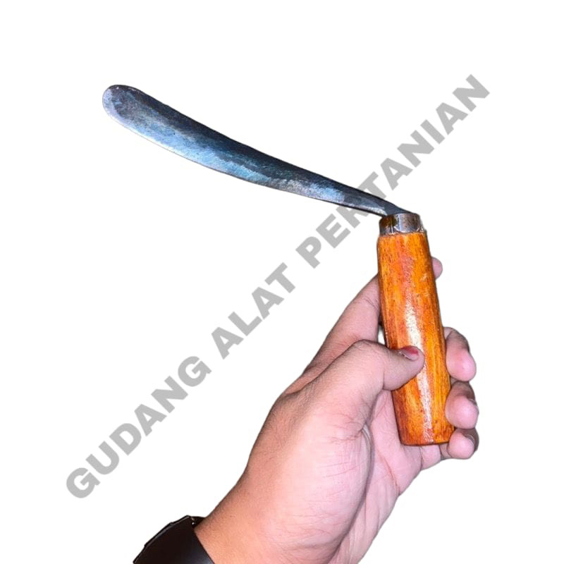 Jual ALAT CONGKEL KELAPA-COD | Shopee Indonesia
