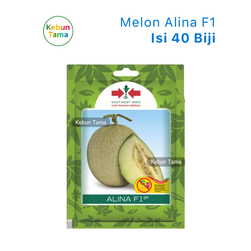 Jual Benih Melon Hibrida Alina F1 Cap Panah Merah Isi 40 Biji | Shopee ...