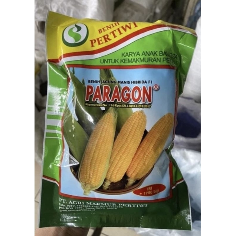 Jual Benih Jagung Manis Paragon Gr Bibit Jagung Manis Pertiwi Shopee Indonesia