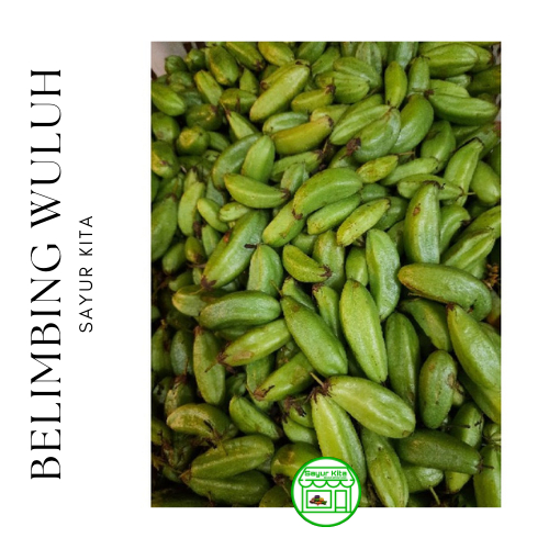 Jual Belimbing Wuluh 250 gram | Shopee Indonesia