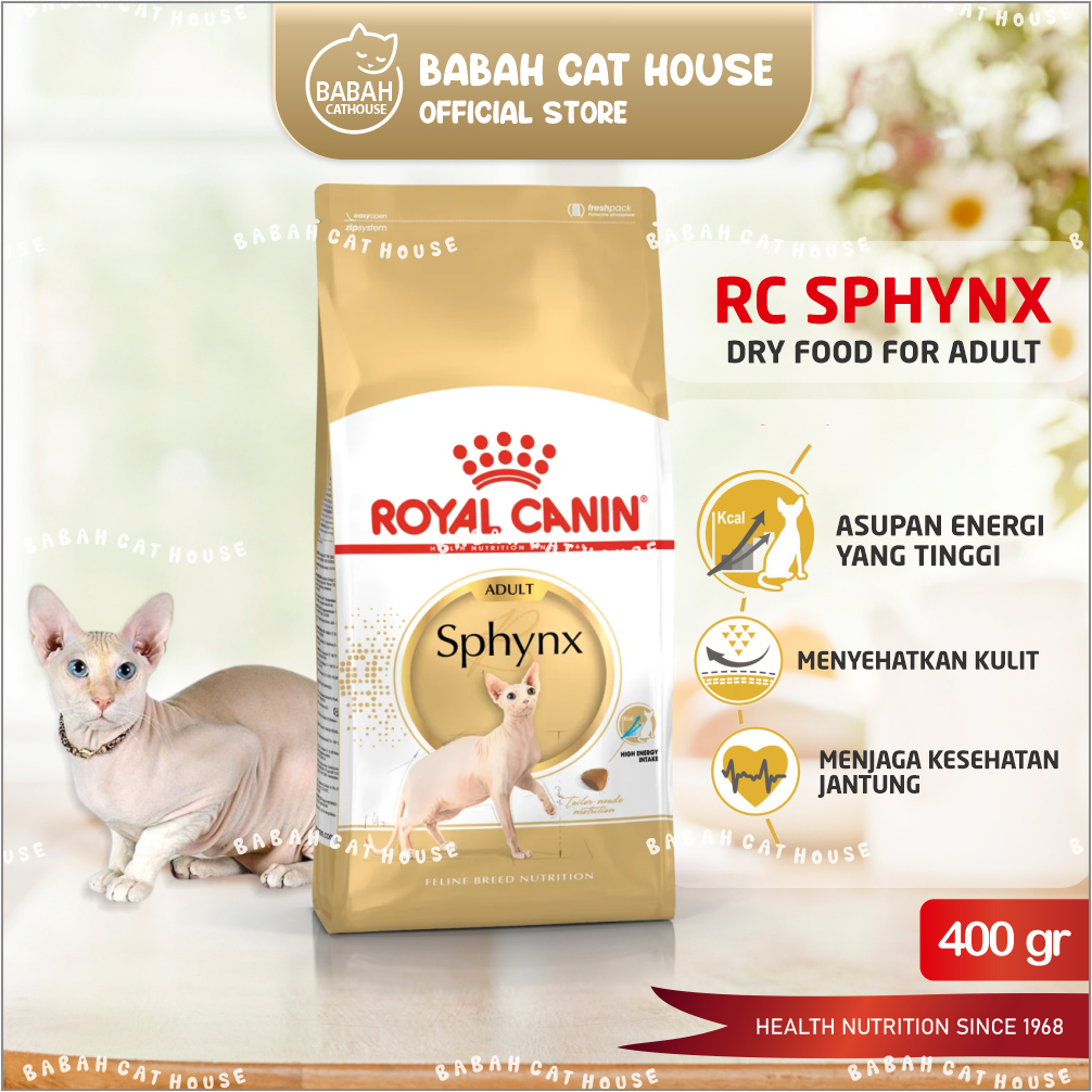 Royal canin hotsell sphynx cat food