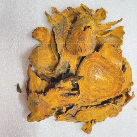 Jual 600 Gram 川大黄片 Da Huang Dahuang tahuang RHUBARB ROOT RADIX ET ...