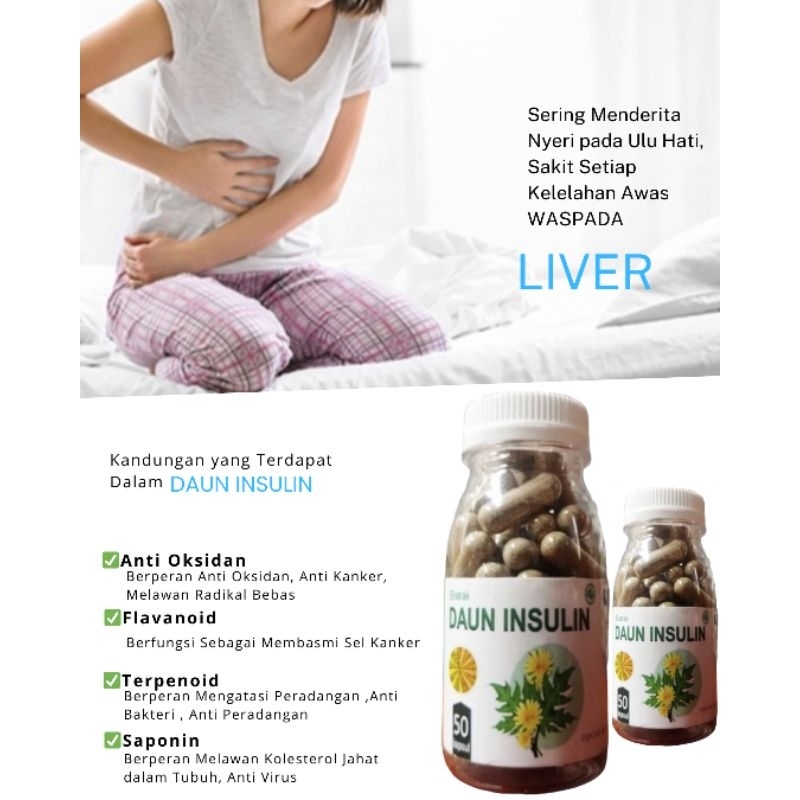 Jual DAUN INSULIN OBAT DIABETES GINJAL JANTUNG KORONER JAMU HERBAL ...