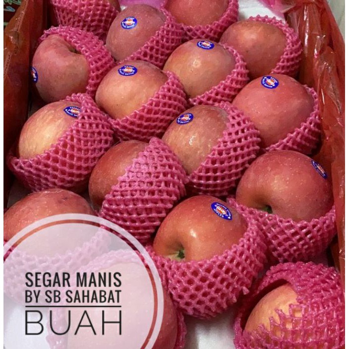 Jual 1111 Buah apel fuji rrc untuk jus 1kg | Shopee Indonesia