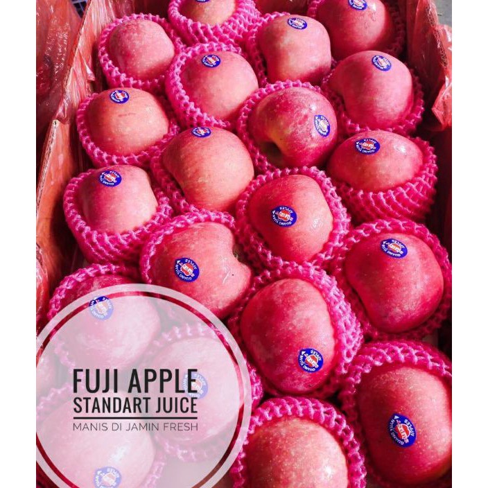 Jual 1111 Buah apel fuji rrc untuk jus 1kg | Shopee Indonesia