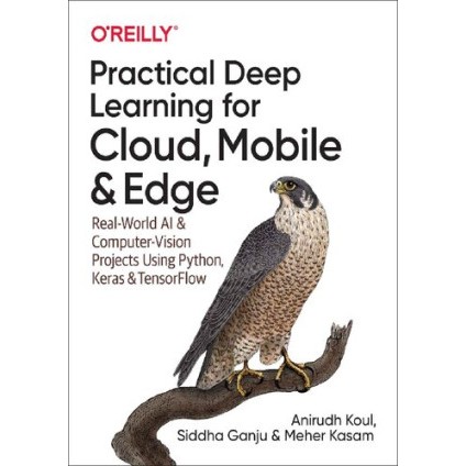 Jual Pdf Book Practical Deep Learning for Cloud and Mobile | Shopee ...