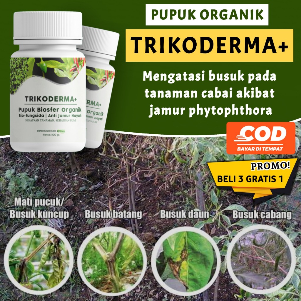 Jual ALFAGREEN- Trikoderma Obat Busuk Akar Batang dan Buah | Buah ...