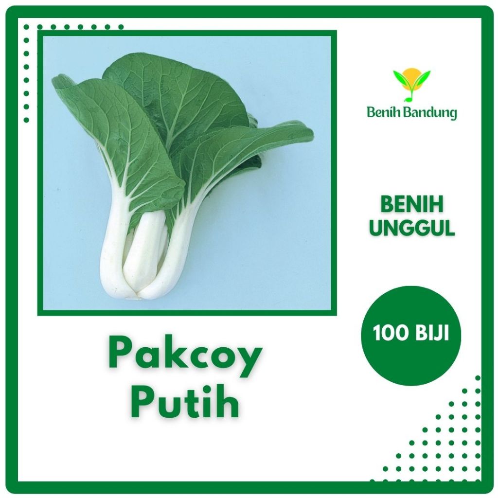 Jual 100 Biji Benih Sawi Pakcoy Batang Putih Bibit Sayur Pak Choy White