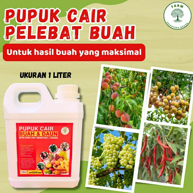pupuk cair PELEBAT BUAH, NUTRISI PENYUBUR BUAH [ukuran 1 liter]