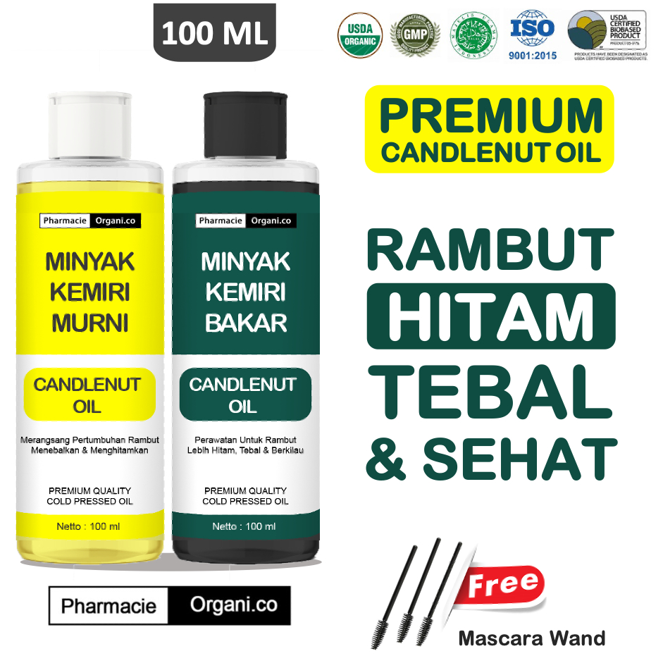 Jual MINYAK KEMIRI MURNI - CANDLENUT OIL PENUMBUH PENEBAL PENGHITAM ...