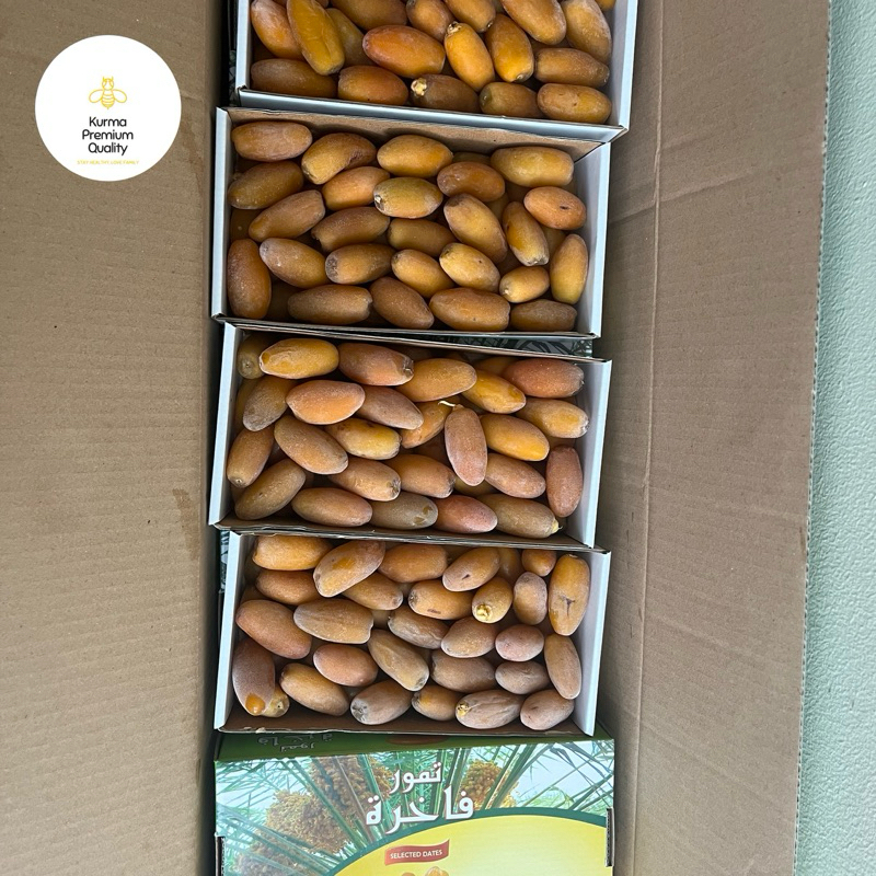Jual 500gr Kurma Rutob libya frozen untuk Promil Enak Segar Fresh Manis ...
