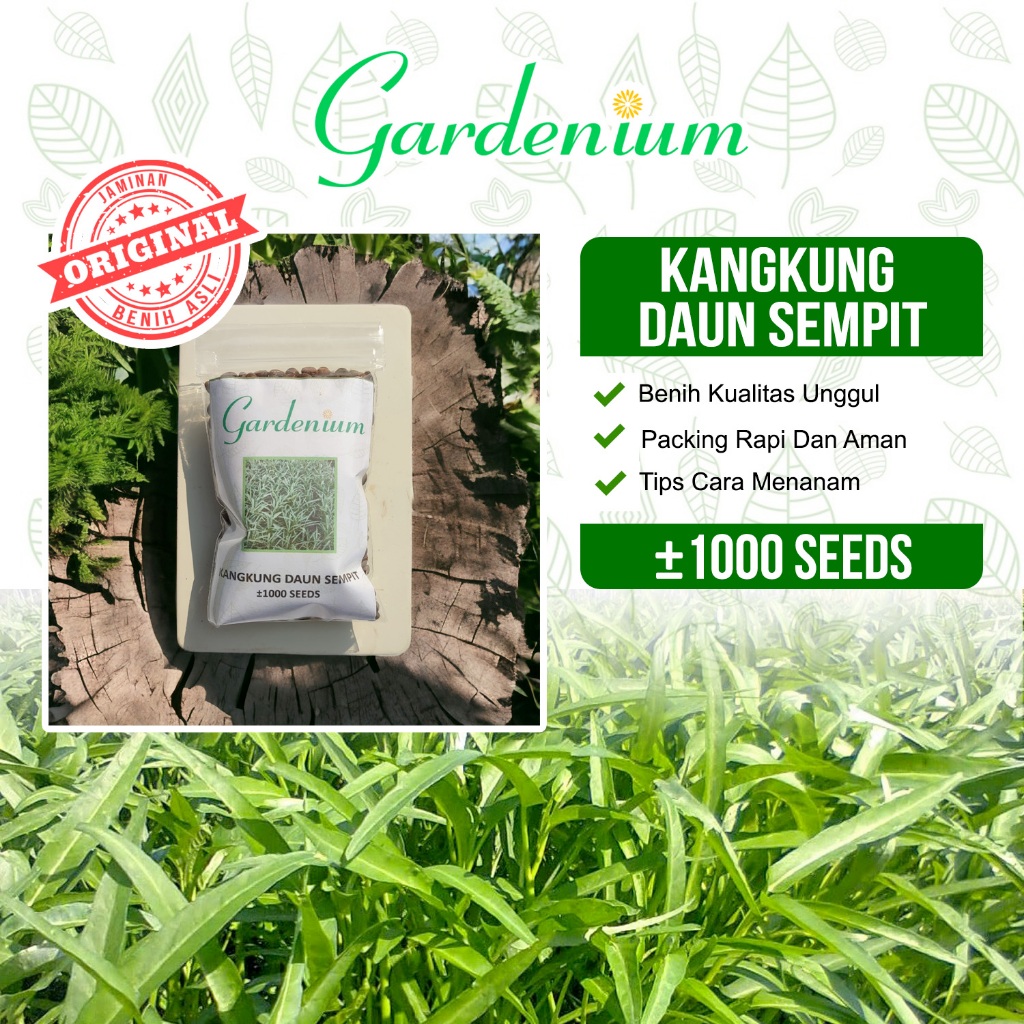 GARDENIUM Benih Kangkung Daun Sempit Sayuran Unggul