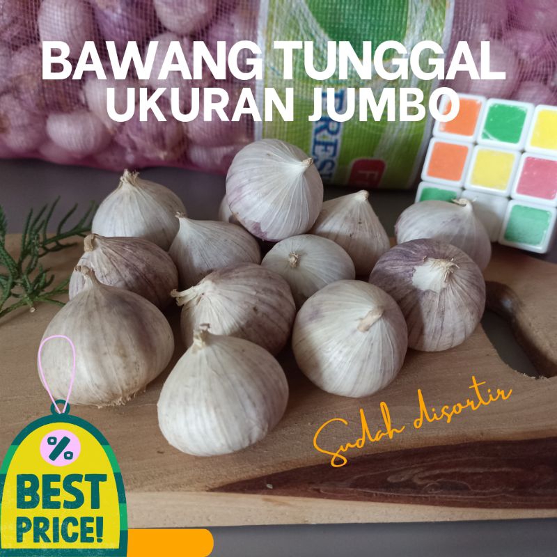 Jual Bawang Putih Tunggal Bawang Tunggal Ukuran Jumbo 1kg Shopee