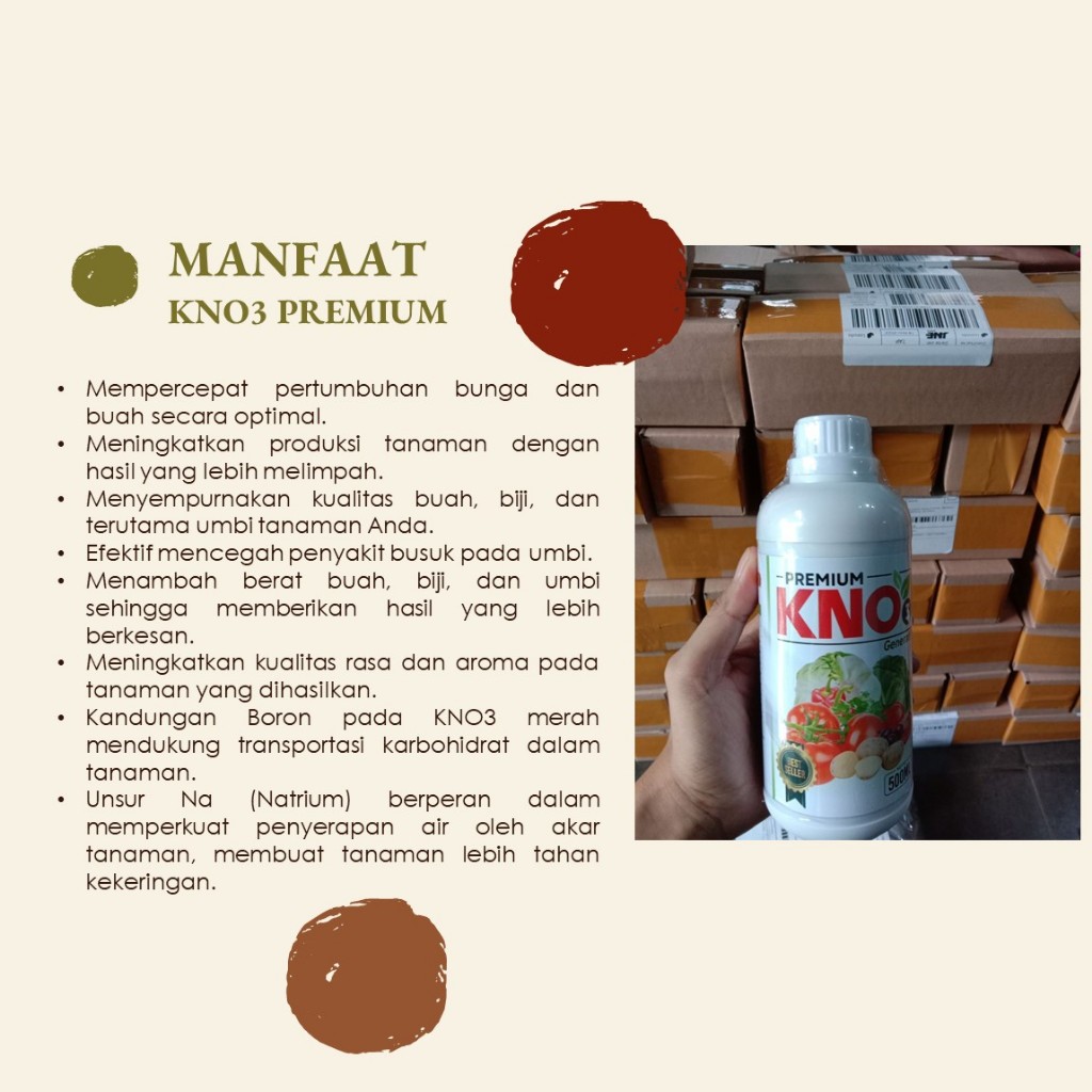 Jual Budidaya Labu Super: Tingkatkan Produksi dan Ukuran dengan Pupuk ...