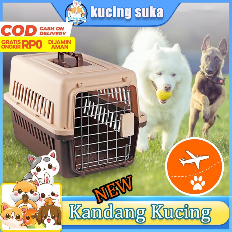 Anjing Cat Pet Store Near Me Kandang Kucing Cat Carrier Shopee Pet