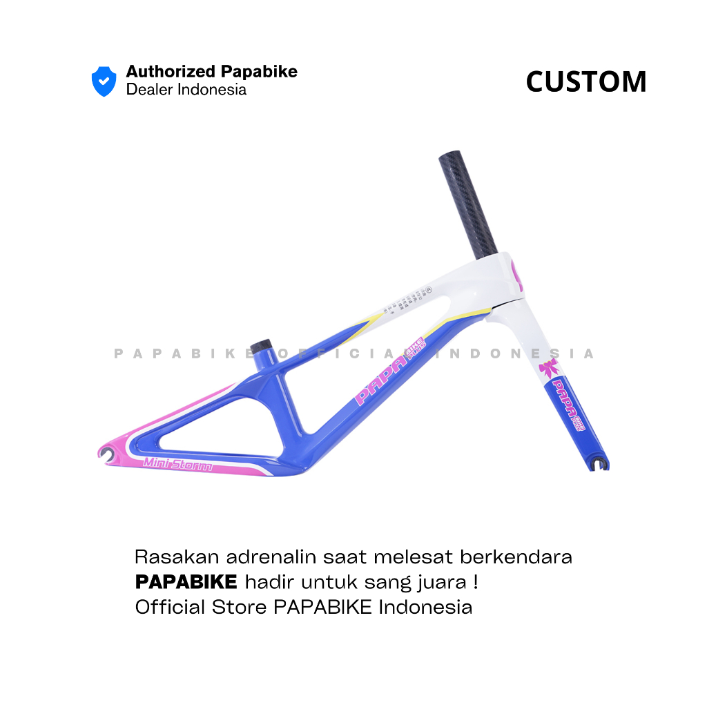 Jual [PRE ORDER] 𝗢𝗥𝗜 PAPABIKE MINI STORM CARBON FRAME