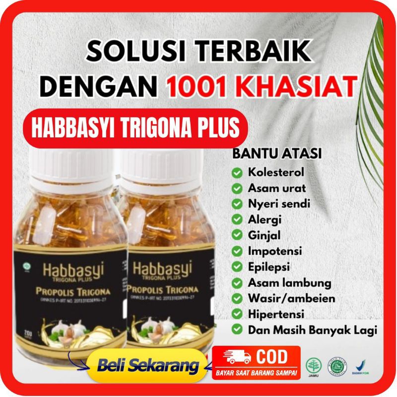 Jual Habasyi Trigona Plus