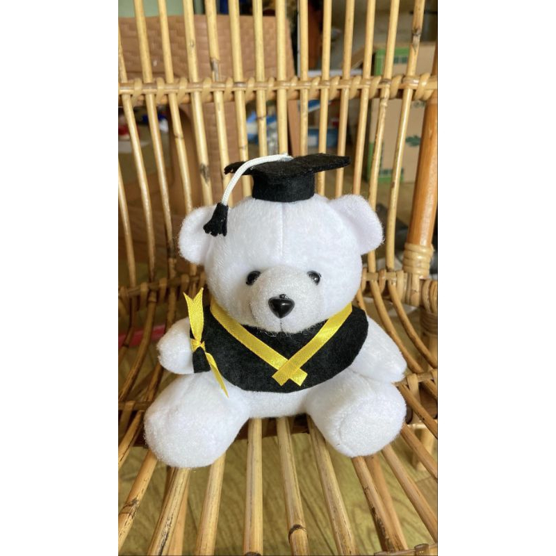 Jual Boneka wisuda 15cm | taddy graduation ±15cm | boneka lucu | boneka ...