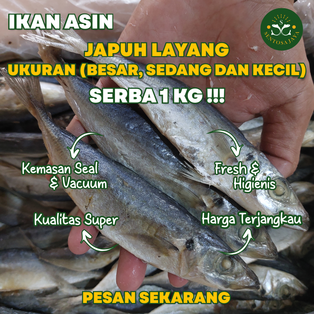 Jual Ikan Asin Japuh Layang 1 KG Japuh Layang Aneka Japuh Layang ...