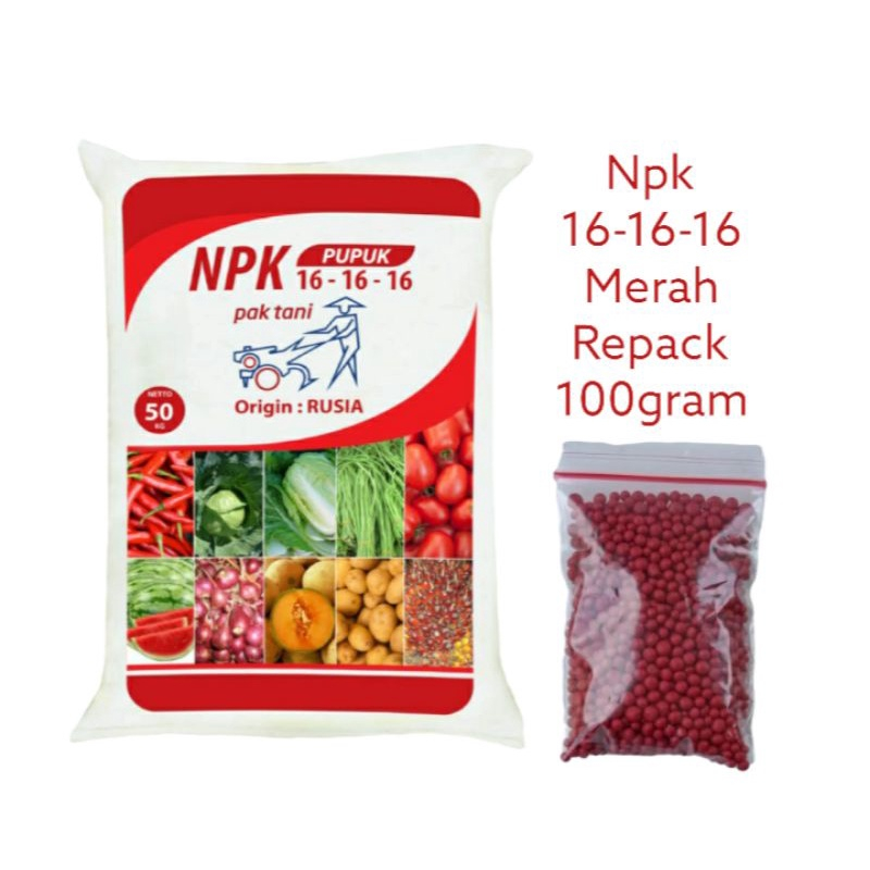 Pupuk Perangsang (CEPAT BERBUAH LEBAT) Npk 16-16-16 Merah Repack