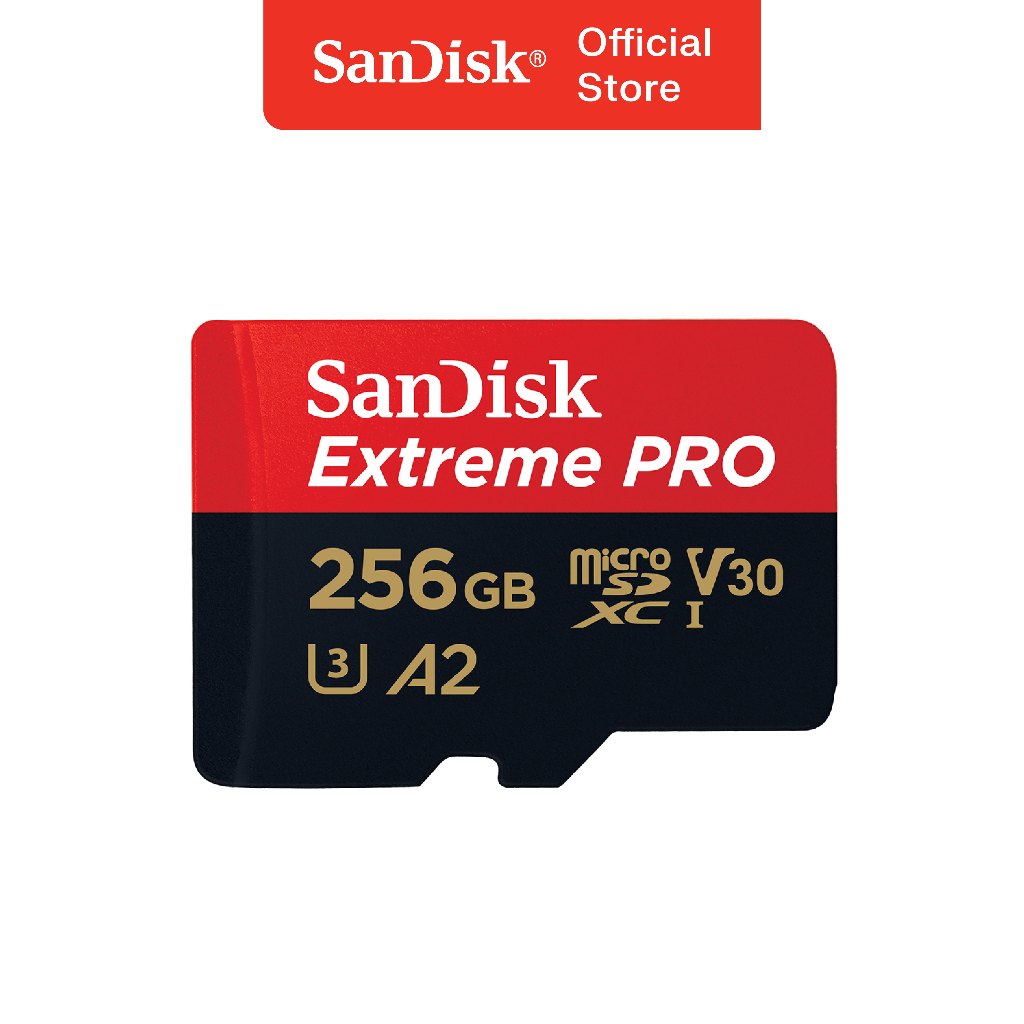 microSDXCカード Extreme 256GB 256 GB サンディスク エクストリーム