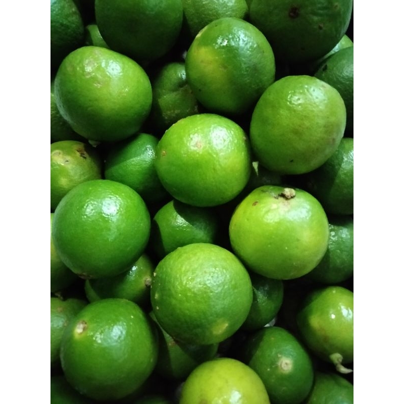 Jual JERUK NIPIS 1 kg | Shopee Indonesia