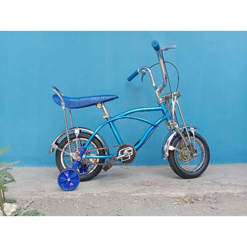 Jual SEPEDA LOWRIDER RODA 12INCHI | Shopee Indonesia