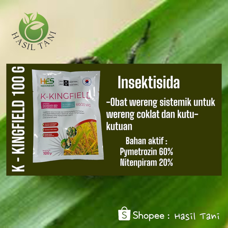 Jual K-KINGFIELD 100 gr (Pymetrozin 60% dan Nitenpiram 20%) | Shopee ...