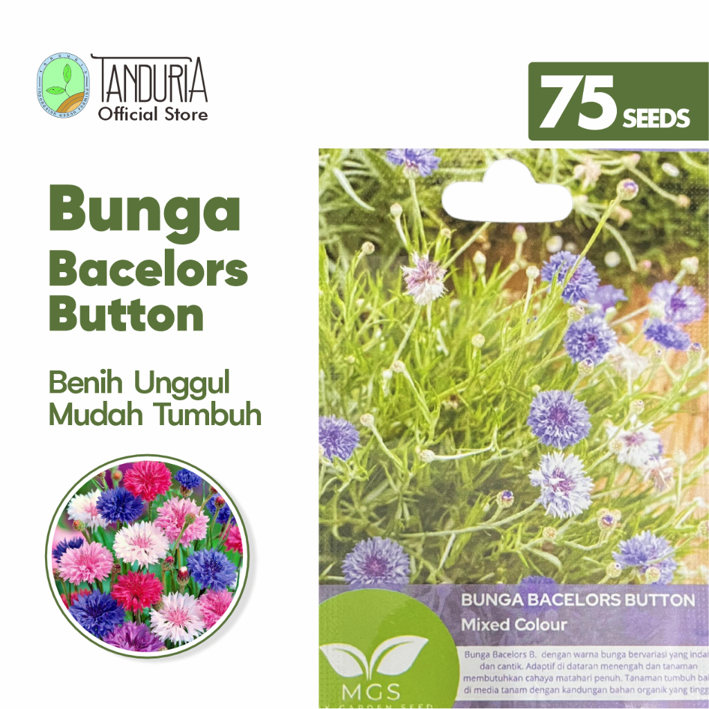 Jual TANDURIA - Benih Bunga Bacelors Button by Mix Garden Seed Bibit ...
