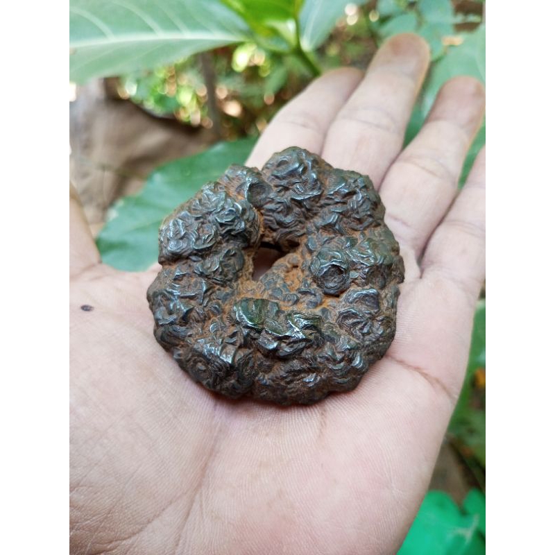 Jual batu antik combong selonatah alami asli batu | Shopee Indonesia