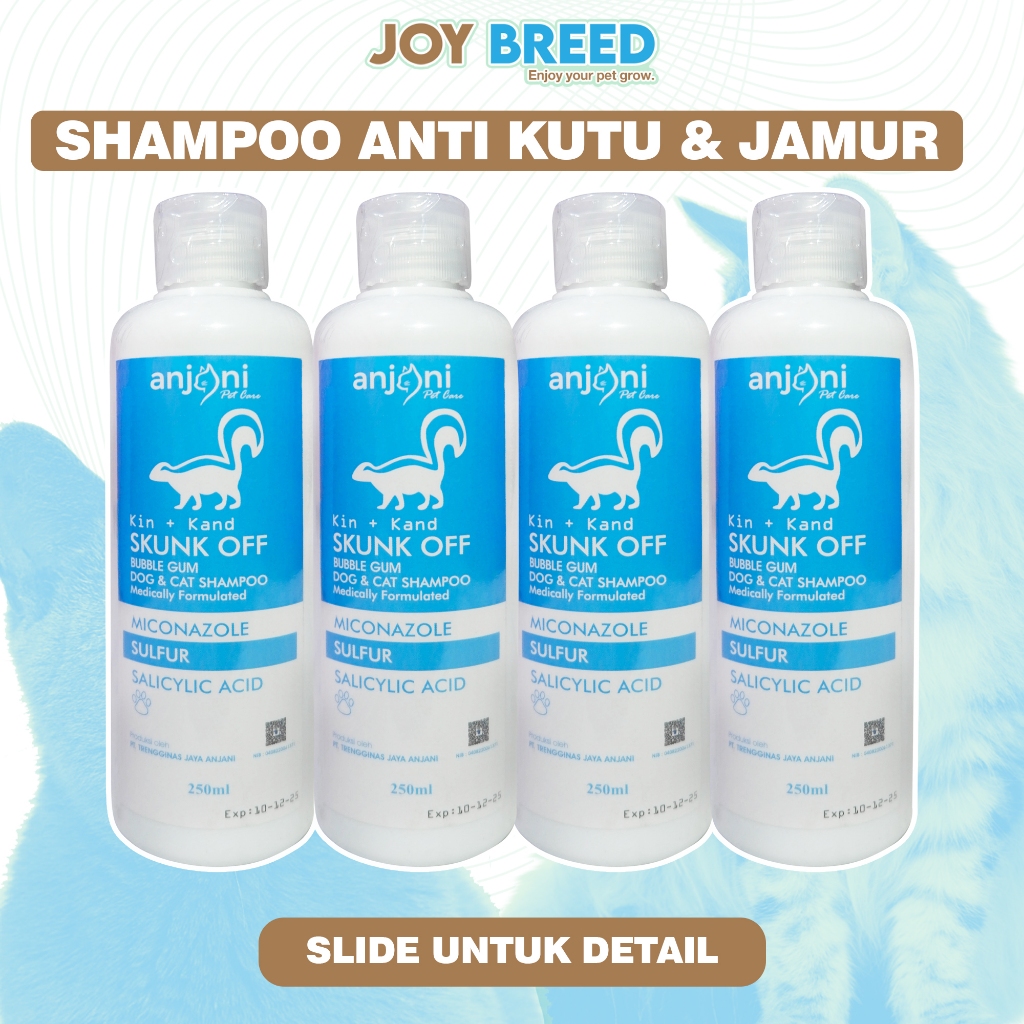 Jual SHAMPOO KUCING ANTI KUTU DAN JAMUR MICONAZOLE 250ML KIN KAND ...