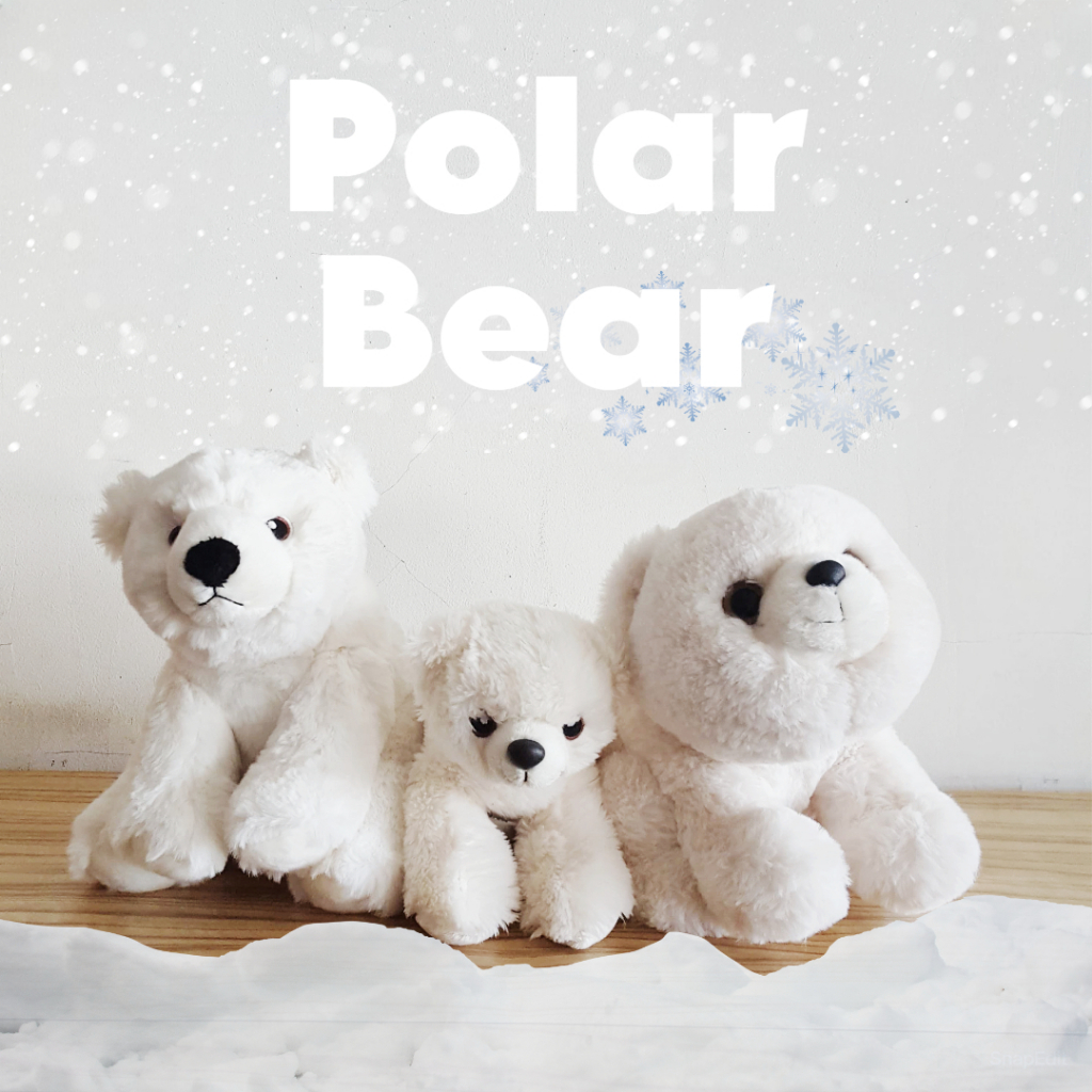 Jual Boneka ECO NATION AURORA HEWAN KUTUB ICE POLE ANIMAL Beruang Polar ...