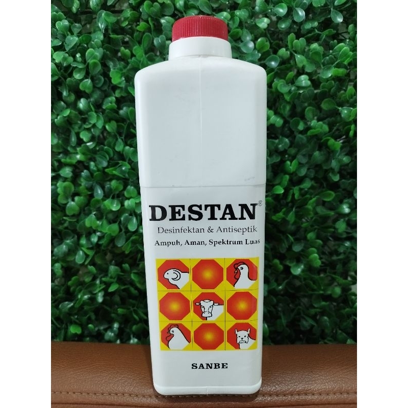 Jual Desinfektan Destan 100 ml dan 1 Liter SANBE | Shopee Indonesia