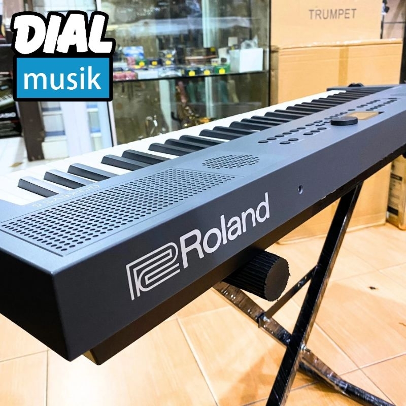 Jual Roland GO:KEYS 5 61-Key Music Creation Keyboard in Graphite ...