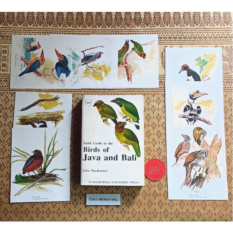 Jual Edisi perdana 8 poster 1 buku Field Guide to Birds of Java and ...
