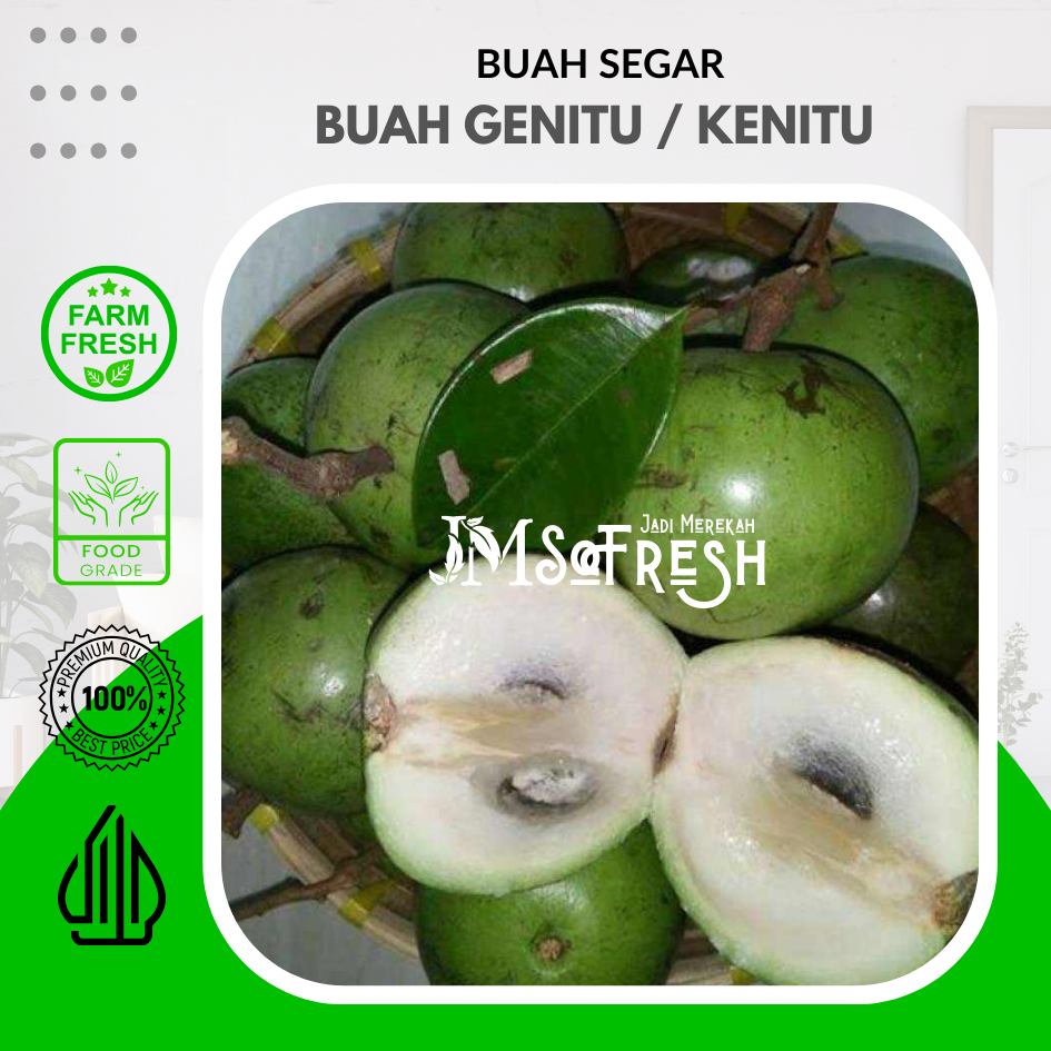 Jual [JM_SoFresh] Buah Kenitu Segar / Buah Genitu / Manecu / Buah Susu ...