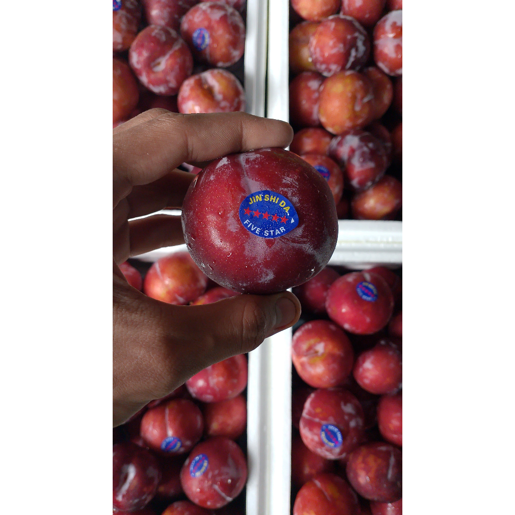 Jual Plum RRC 500 g | Shopee Indonesia