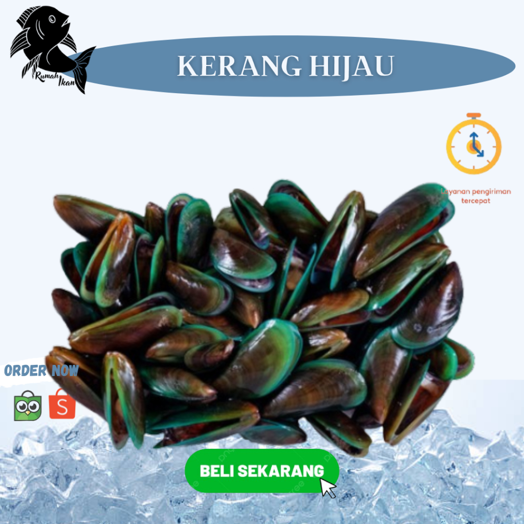 Jual Kerang Hijau Laut Segar 1Kg | Shopee Indonesia