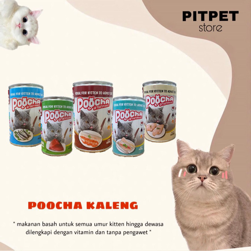 Jual Poocha Makanan Kucing Kaleng 400Gr | Shopee Indonesia