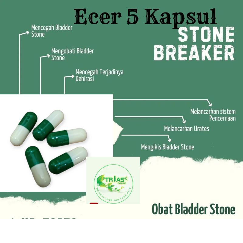 Jual 5 Kapsul stone Breaker obat Bladder stone sulcata/obat bS breaker ...