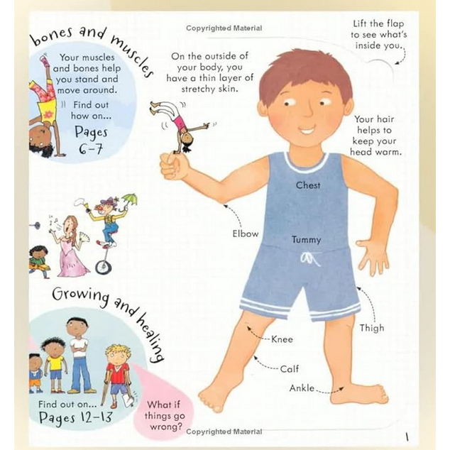 Jual [ABCKIDS] SEGEL Usborne Look Inside Your Body - Imported Book ...