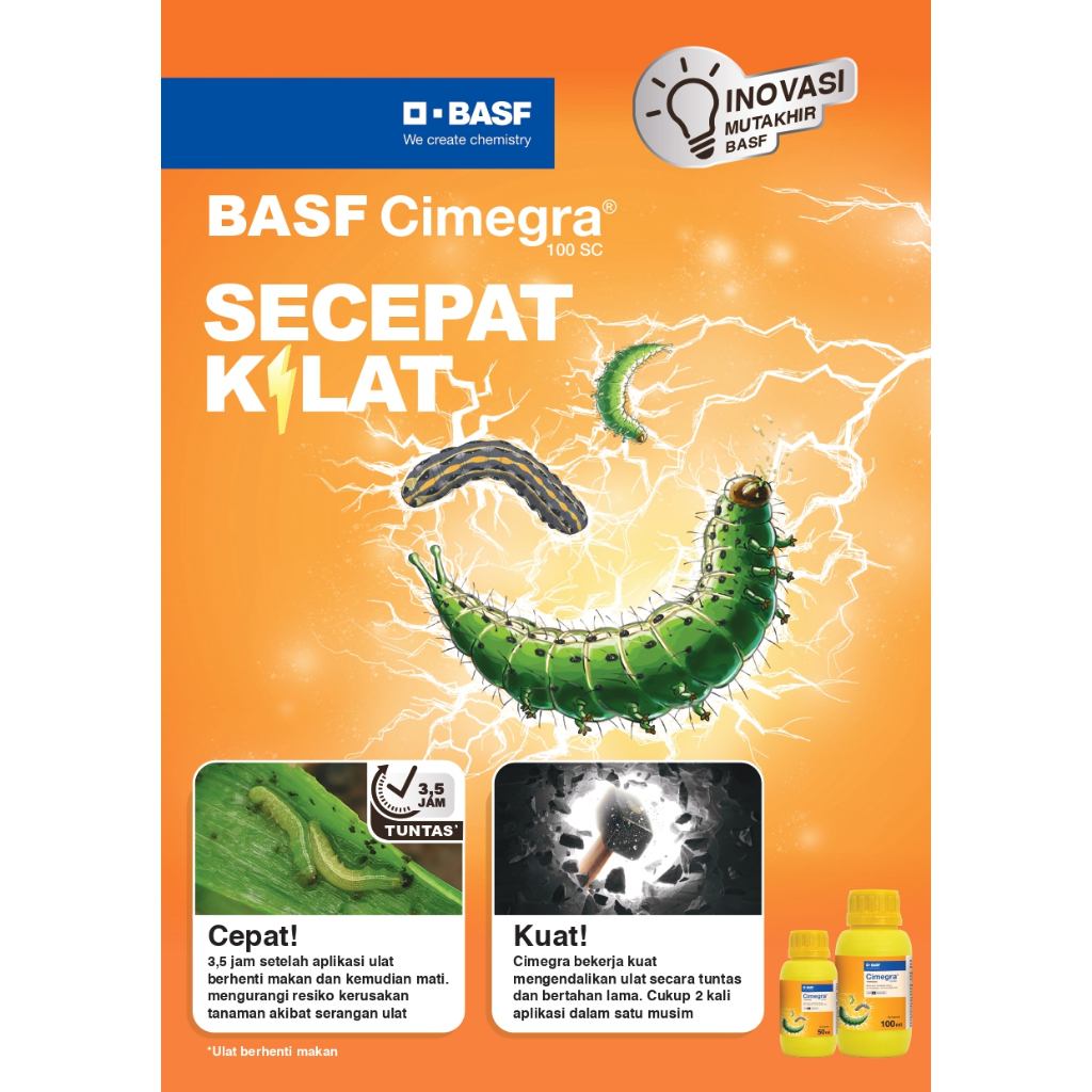 Jual CIMEGRA 100 SC INSEKTISIDA PENGENDALI HAMA ULAT // SIMEGRA ...