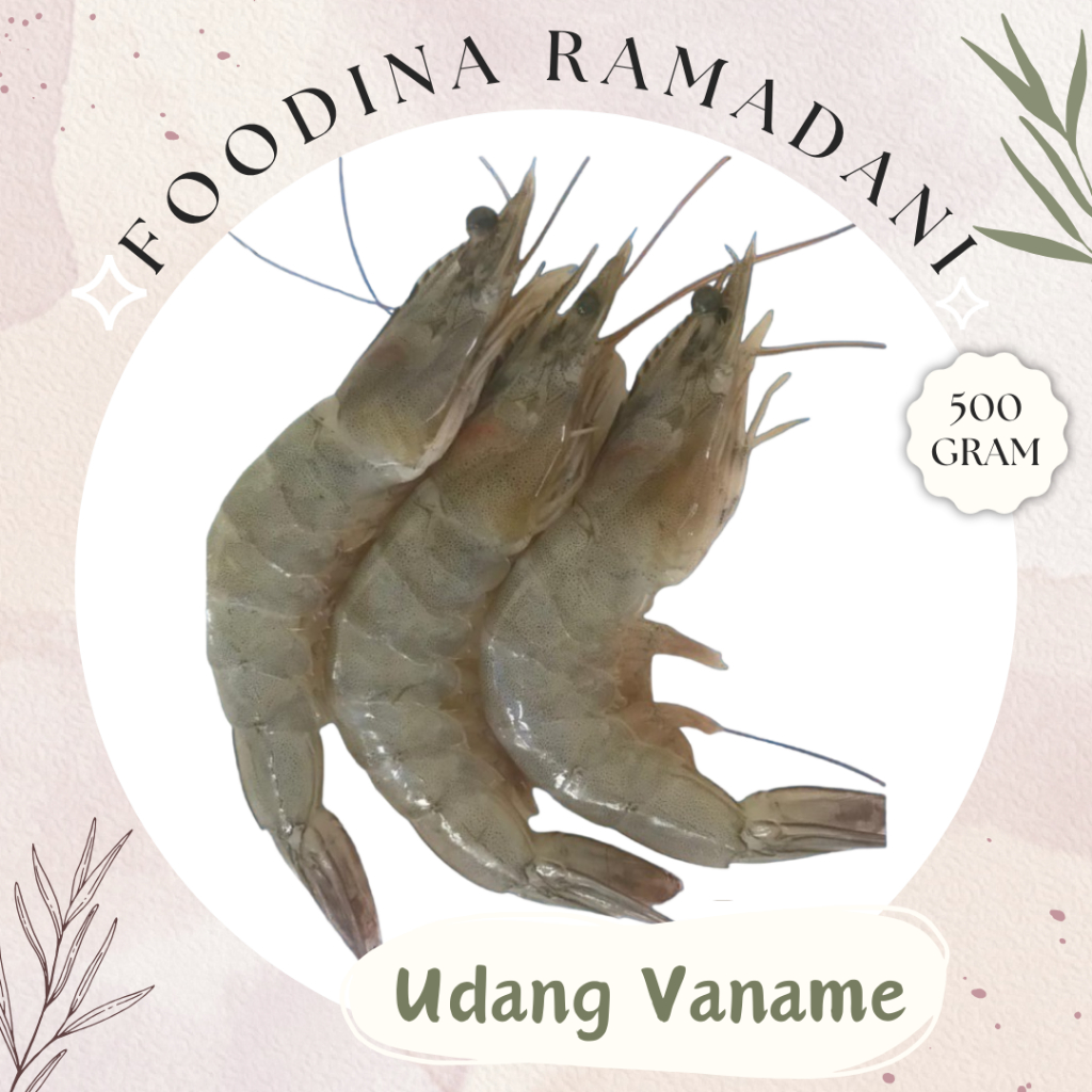 Jual UDANG Vaname - Shrimp Fresh [ Size M/L - Berat 500gr ] Harga Per 0 ...