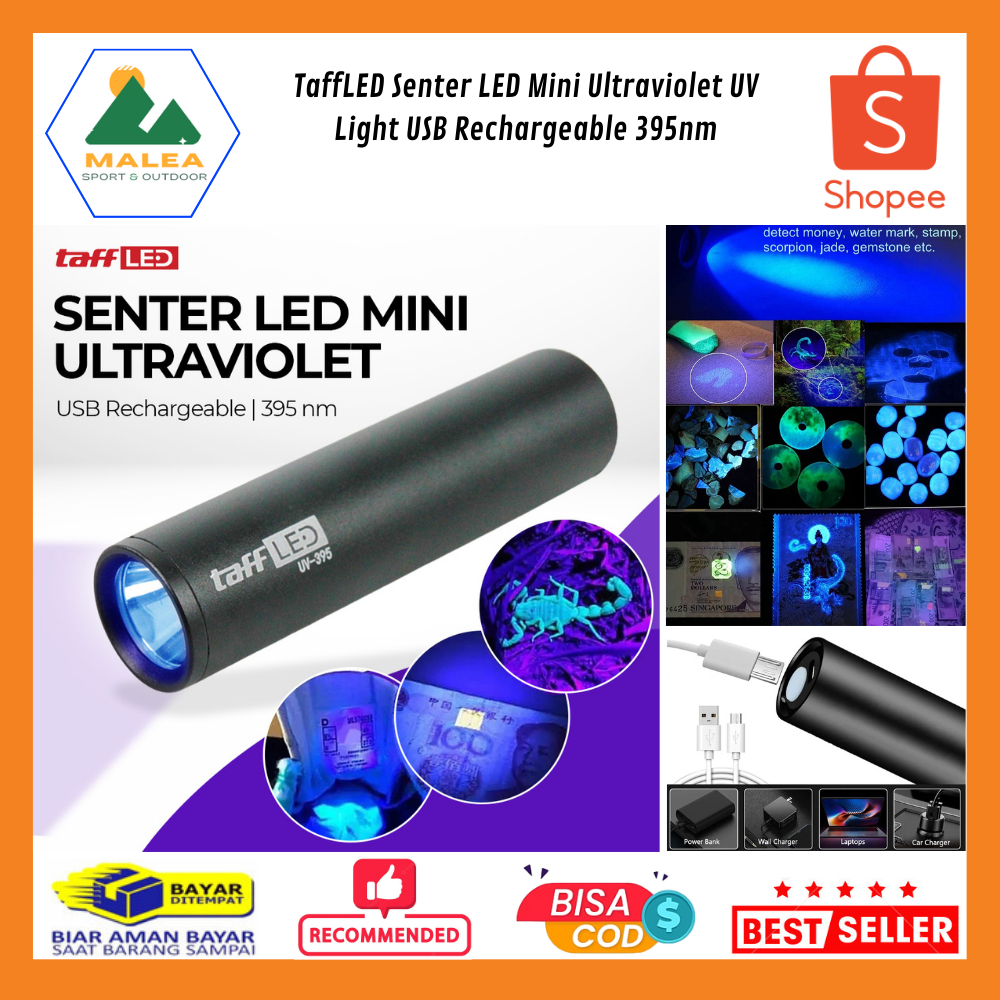 Jual Senter LED Mini Ultraviolet UV Light USB Rechargeable 395nm ...