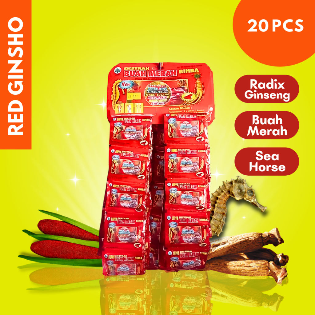 Jual Buah Merah Rimba jamu Solusi sakit sendi flu tulang nyeri pinggang ...