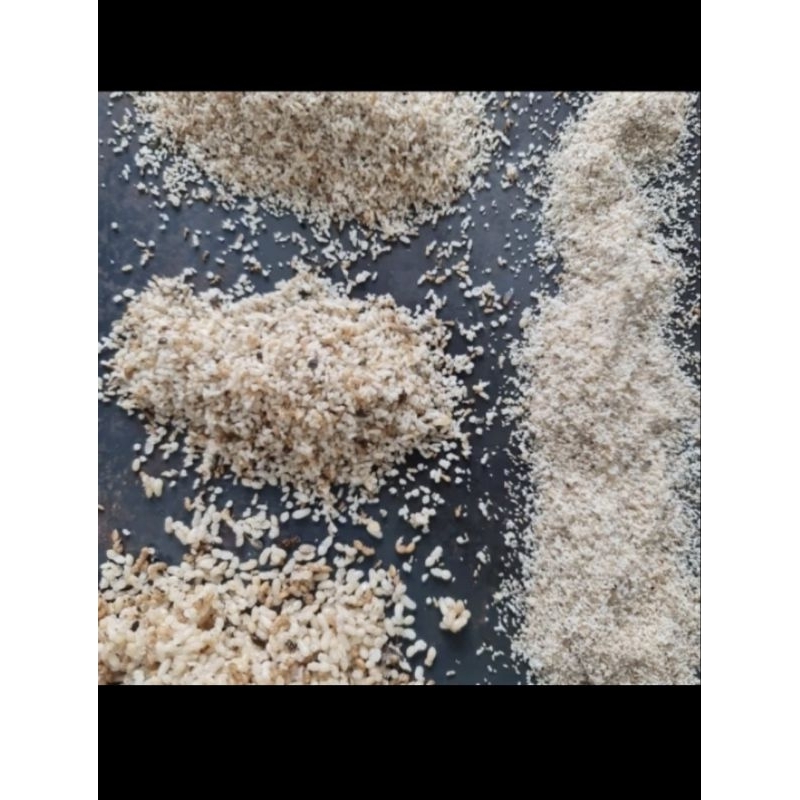 Jual TELUR SEMUT TS ( halus ) | Shopee Indonesia