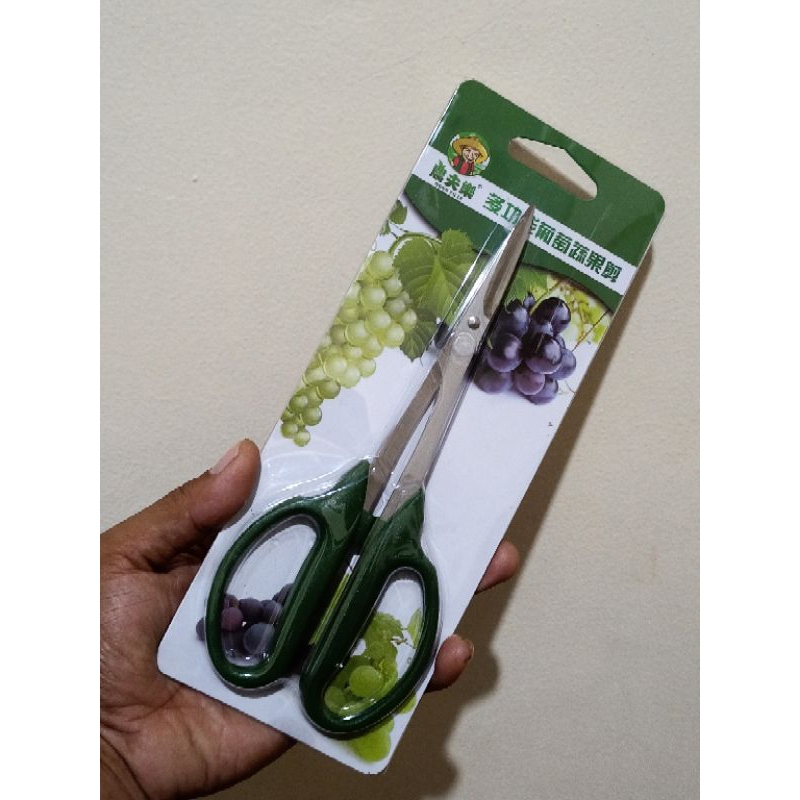 Jual GUNTING BERKEBUN, RANTING DAN BUAH | Shopee Indonesia